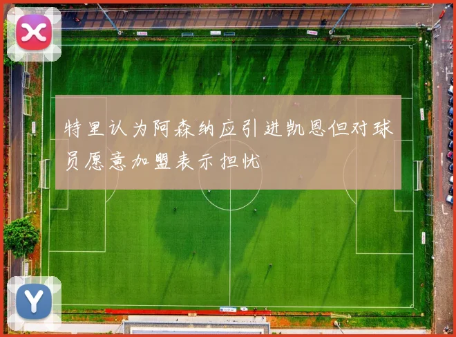 特里认为阿森纳应引进凯恩但对球员愿意加盟表示担忧