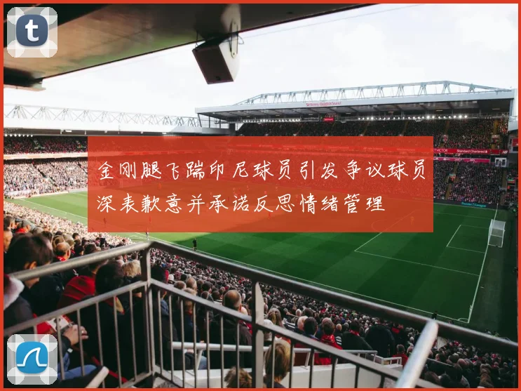 金刚腿飞踹印尼球员引发争议球员深表歉意并承诺反思情绪管理