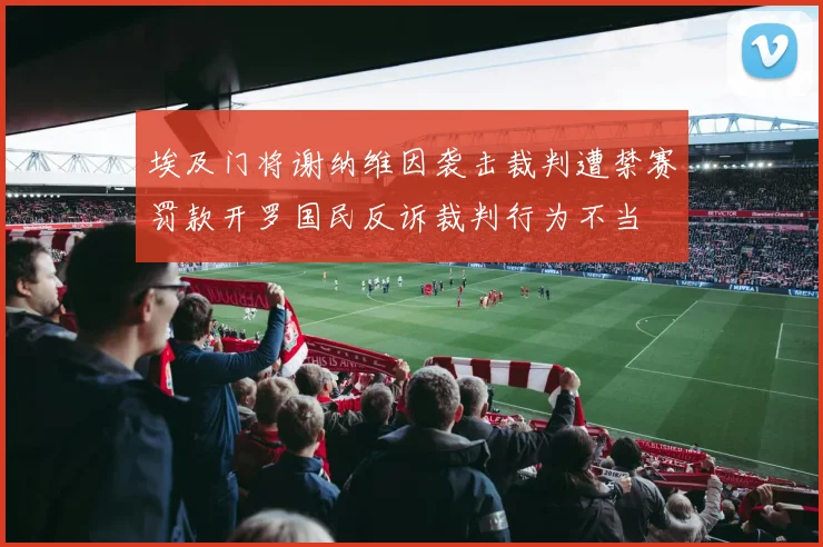 埃及门将谢纳维因袭击裁判遭禁赛罚款开罗国民反诉裁判行为不当