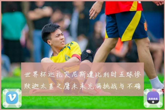 世界杯巡礼突尼斯遭比利时五球惨败迦太基之鹰未来充满挑战与不确定性